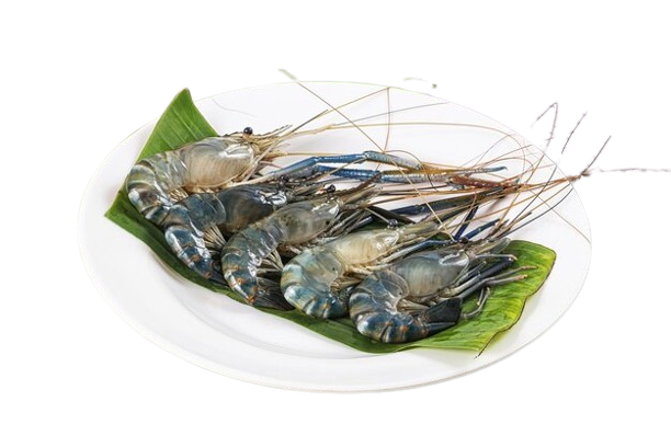 Best JUMBO PRAWN delivery in patna,-chickenwala